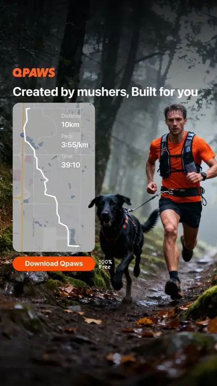 Static ad