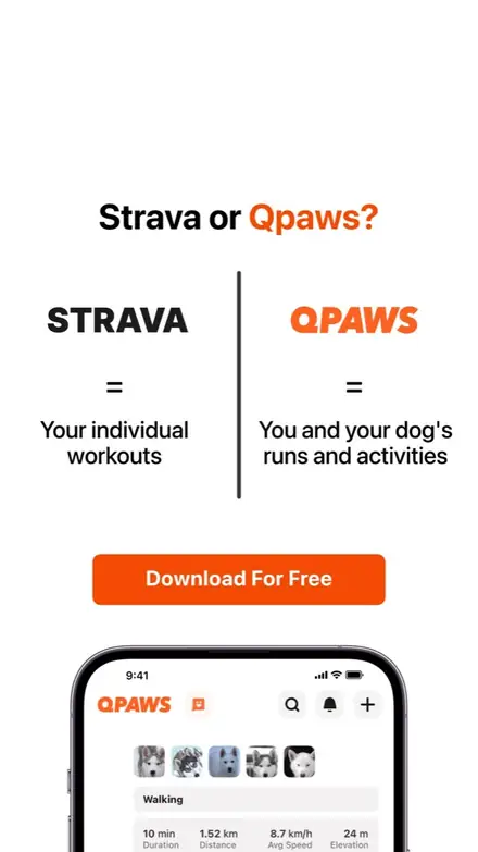 Static ad