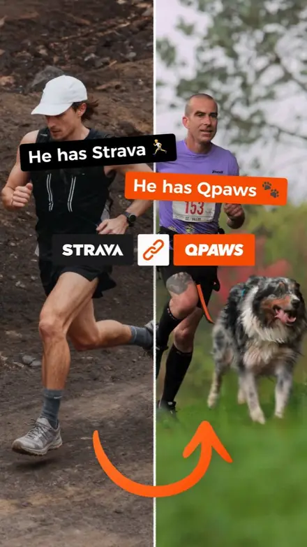 Static ad
